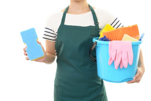 Pet stain odour removal on carpet with cleaning supplies