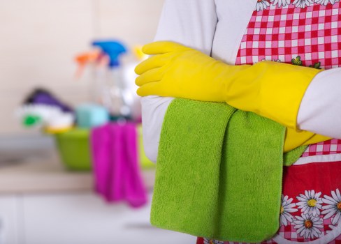 Cleaning pet stains from upholstery and rugs