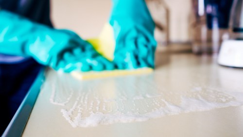 Freshly cleaned carpet fibers after steam carpet cleaning