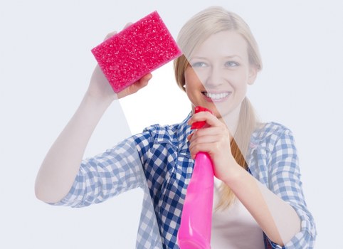 Professional pet odour removal treatment in a home