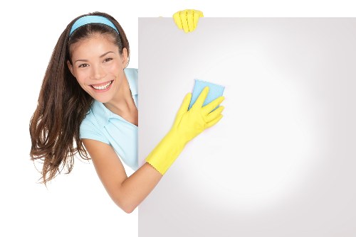 Enzyme cleaner being used for pet odour cleanup