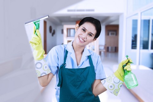 Professional mattress cleaning equipment in use on a bed